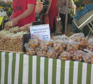 Markt Landau in der Pfalz