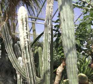 Botanischer Garten