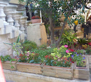 Teagarden Fontanella