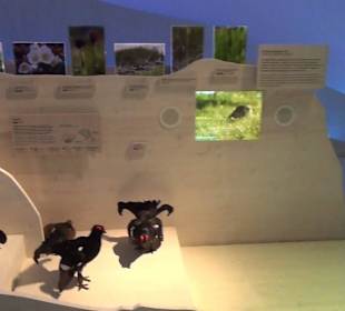 Nationalparkzentrum Haus der Berge