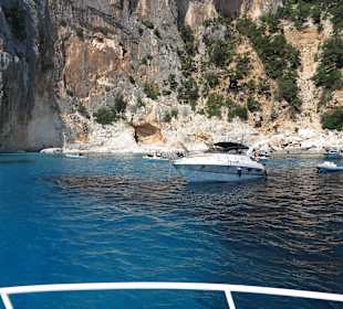 Bootstour vom Hotel Costa Dorada aus