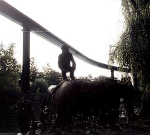 Ansichten aus dem Europapark in Rust