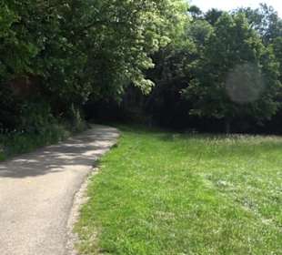 Premiumwanderweg "hochgelegen"