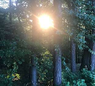 Wandern Loipersdorf bei Fürstenfeld