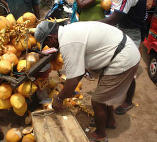 Leckere süße Kokosnüsse