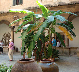 Kathedrale La Seu Palma de Mallorca