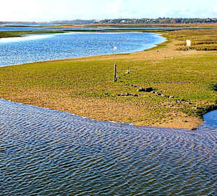 Parque Natural da Ria Formosa