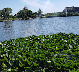 Wandern Wenningstedt-Braderup [Sylt]