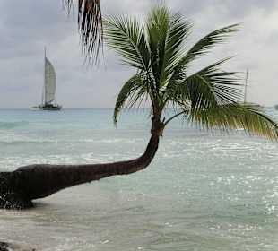 Saona: begehrtes Fotomotiv