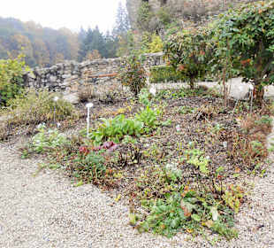 Kräutergarten