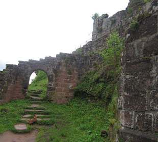 Die Wegelnburg