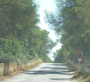 Weg zum Strand Es Trenc