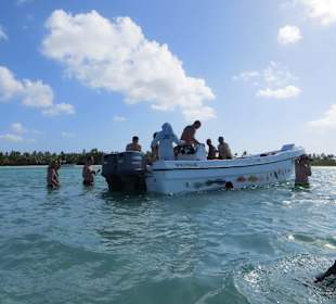 Ankern bei den Seesternen