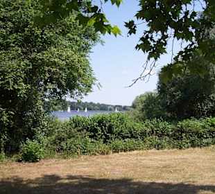 Blick auf den Wannsee 2