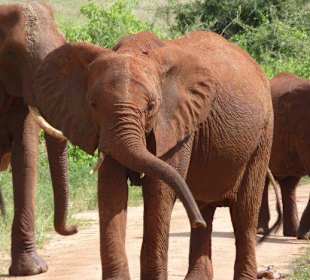 Der kleine mal ganz groß