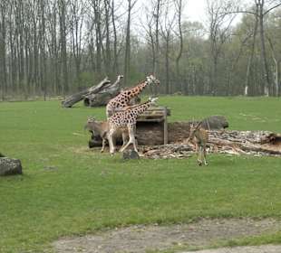 Zoo Ostrava
