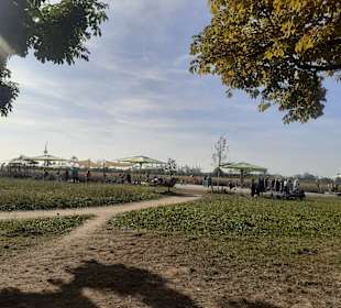 Gelände der Bundesgartenschau 2023