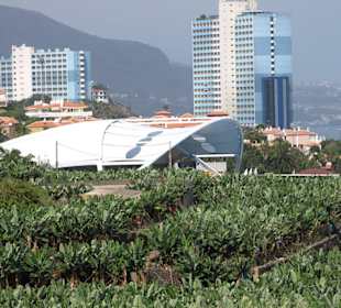 Blick auf den Loro Park