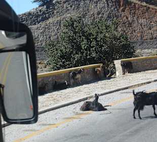 Inselrundfahrt Kreta
