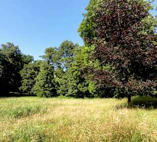 Impressionen aus dem Oslebshauser Park