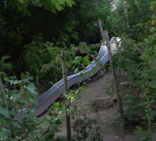 Interkultureller Gemeinschaftsgarten