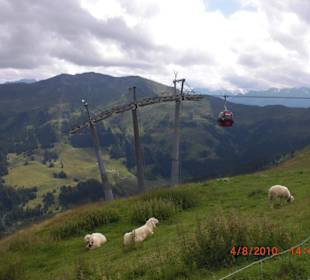 Zwölferkogelbahn