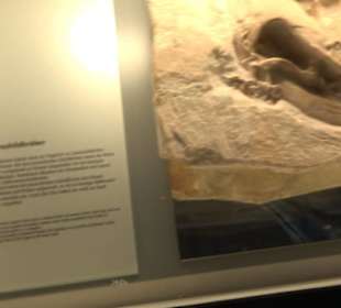 Jura-Museum