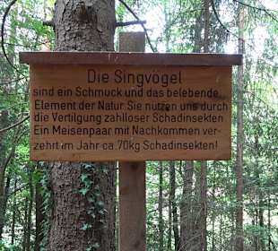 Waldlehrpfad in Tieringen