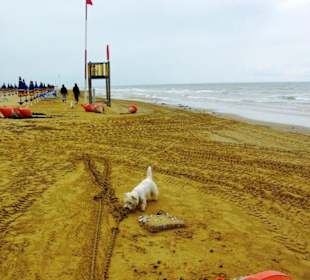 Ende September 2010 Impressionen