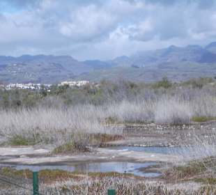 Naturschutzgebiet Maspalomas