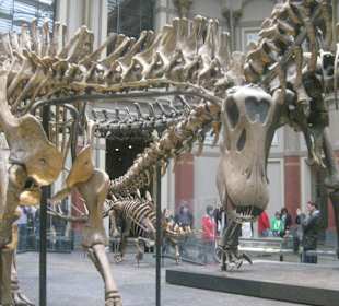 Naturkundemuseum