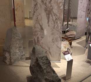 Staatliches Naturkunde Museum