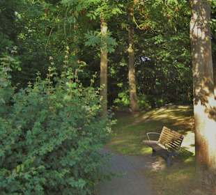 Weg in und durch den Wald