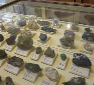 Museum für Naturkunde