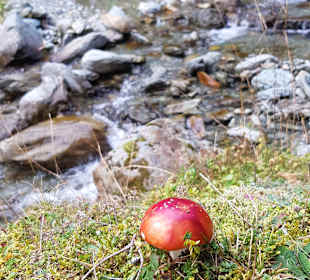 Wandern Saalbach-Hinterglemm