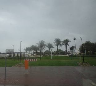 Stadtrundfahrt Dubai