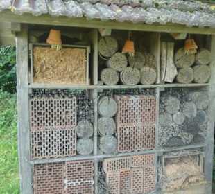 Rundwanderung Extratour Kuppenweg, Platzer Kuppe