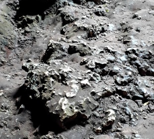 Coral Caves Mangapwani