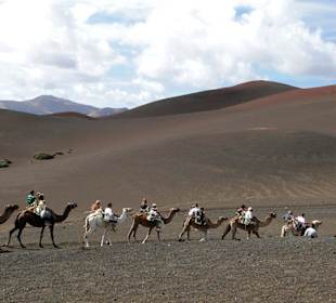 Ausritt per Dromedar