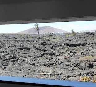 Der Künstler Cesar Manrique (Haus)