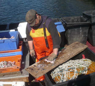 Fischer bei der Arbeit