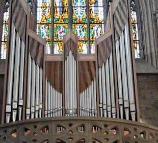 Die Orgel der Minoritenkirche