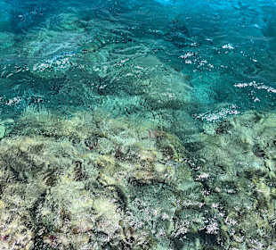 Schnorcheln Makadi Bay