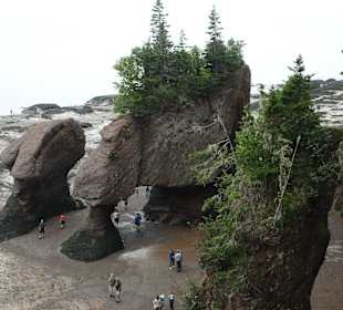 Teilansicht der Hopewell Rocks