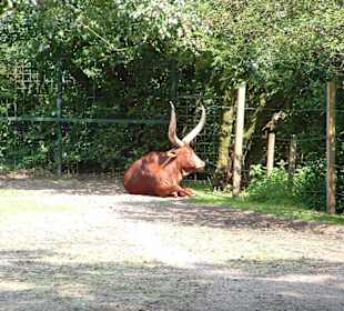 Freizeitpark