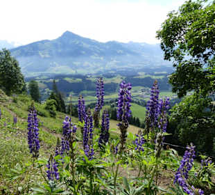 Toller Weg mit Ausblick