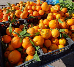 Rundgang über den Wochenmarkt Nuoro