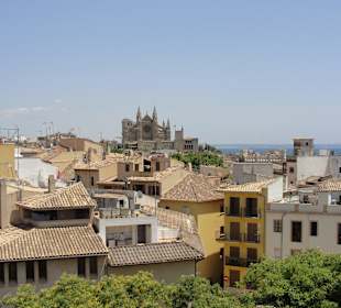 Вид на кафедральный собор