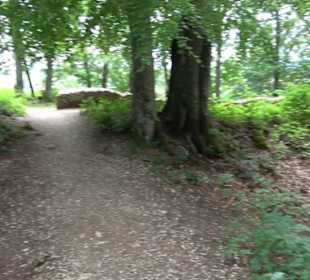 Burg Alt-Lichtenstein