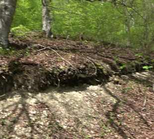 Wandertour durchs Reissenbachtal Oberhausen